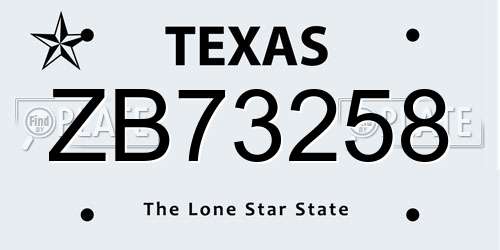 ZB73258 Texas License Plate