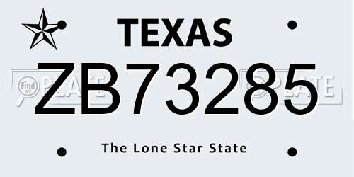 ZB73285 Texas License Plate