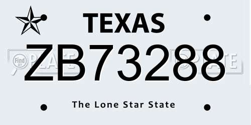 ZB73288 Texas License Plate