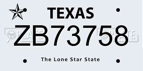 ZB73758 Texas License Plate