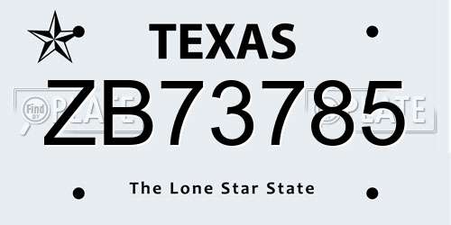 ZB73785 Texas License Plate