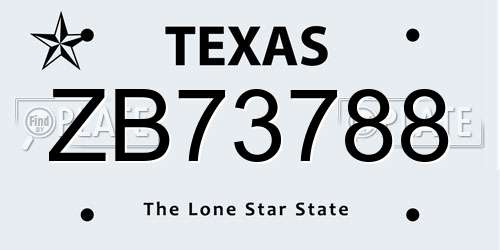 ZB73788 Texas License Plate