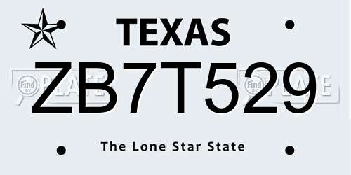 ZB7T529 Texas License Plate