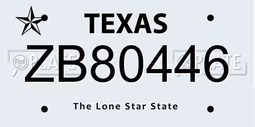 ZB80446 Texas License Plate
