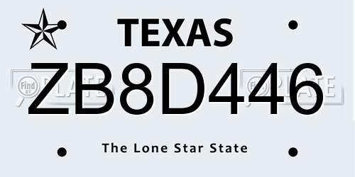 ZB8D446 Texas License Plate