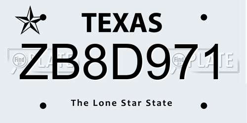 ZB8D971 Texas License Plate