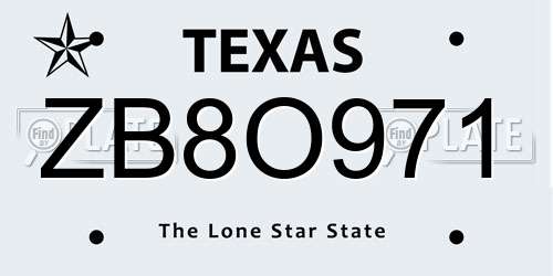 ZB8O971 Texas License Plate
