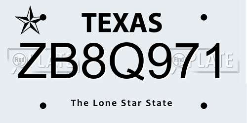 ZB8Q971 Texas License Plate