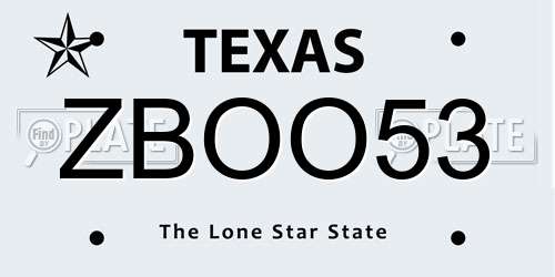ZBOO53 Texas License Plate
