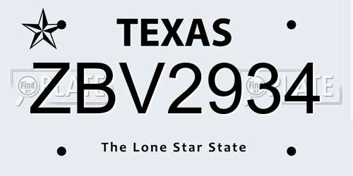 ZBV2934 Texas License Plate