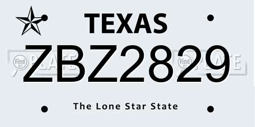 ZBZ2829 Texas License Plate