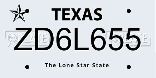 ZD6L655 Texas License Plate