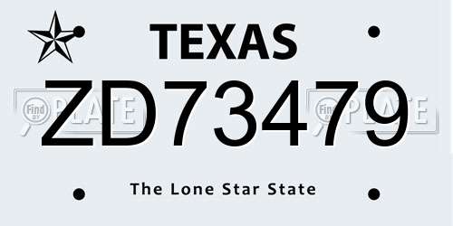 ZD73479 Texas License Plate