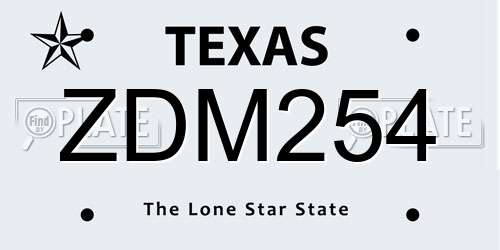 ZDM254 Texas License Plate