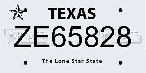 ZE65828 Texas License Plate