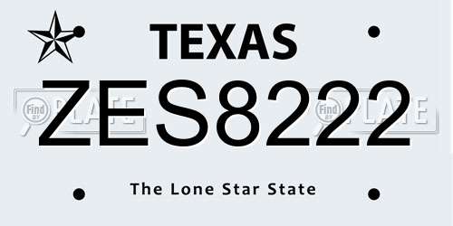 ZES8222 Texas License Plate