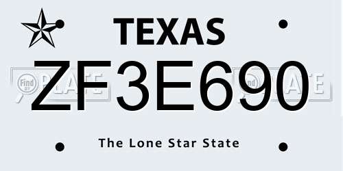 ZF3E690 Texas License Plate