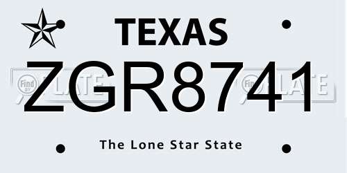 ZGR8741 Texas License Plate