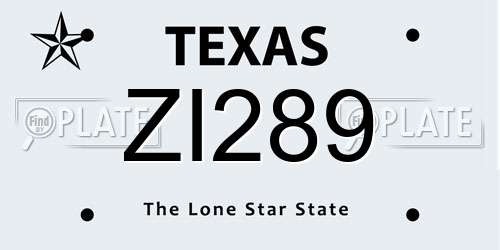 ZI289 Texas License Plate