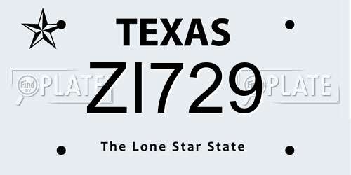 ZI729 Texas License Plate