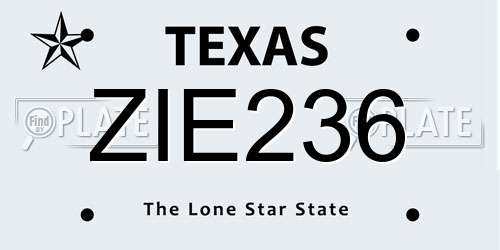 ZIE236 Texas License Plate