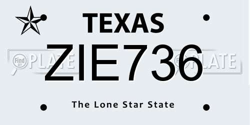 ZIE736 Texas License Plate