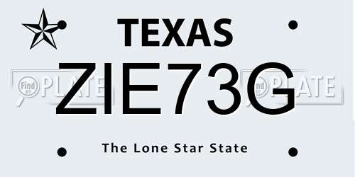 ZIE73G Texas License Plate