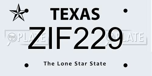 ZIF229 Texas License Plate