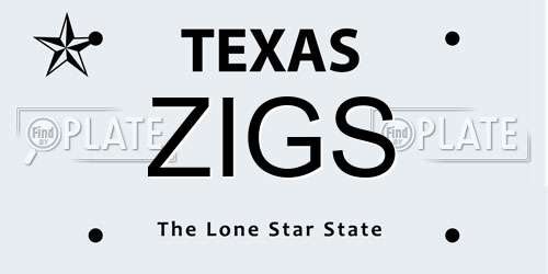 ZIGS Texas License Plate