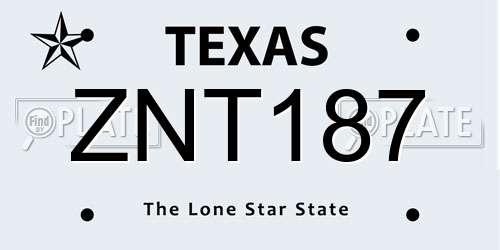 ZNT187 Texas License Plate