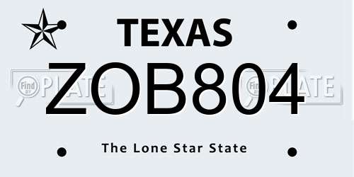 ZOB804 Texas License Plate