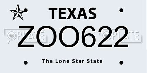 ZOO622 Texas License Plate