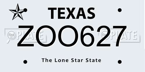ZOO627 Texas License Plate