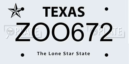 ZOO672 Texas License Plate