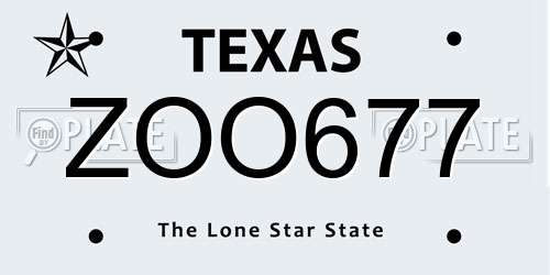 ZOO677 Texas License Plate