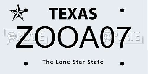 ZOOA07 Texas License Plate