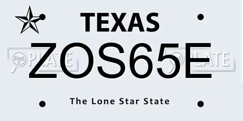 ZOS65E Texas License Plate