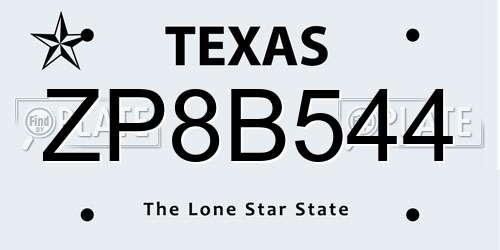 ZP8B544 Texas License Plate