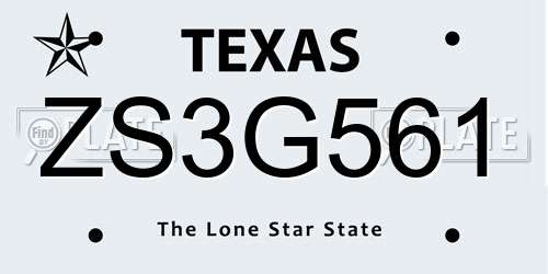 ZS3G561 Texas License Plate