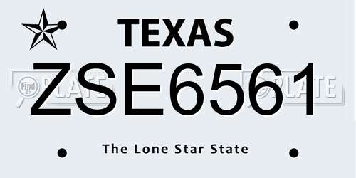 ZSE6561 Texas License Plate