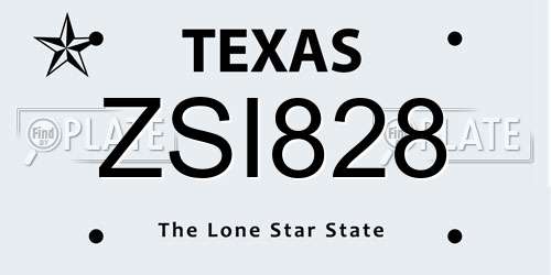 ZSI828 Texas License Plate