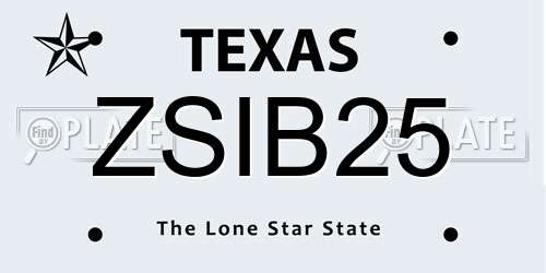 ZSIB25 Texas License Plate