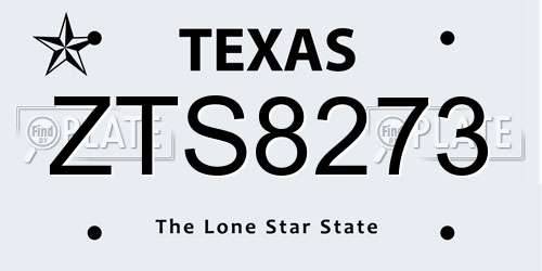 ZTS8273 Texas License Plate