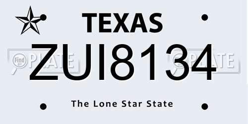 ZUI8134 Texas License Plate
