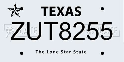 ZUT8255 Texas License Plate