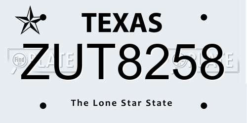ZUT8258 Texas License Plate