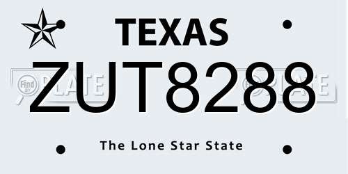 ZUT8288 Texas License Plate