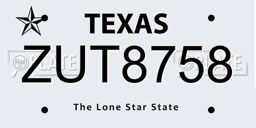 ZUT8758 Texas License Plate