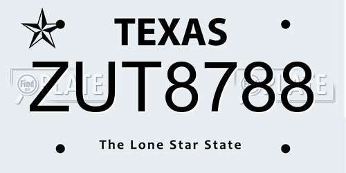 ZUT8788 Texas License Plate