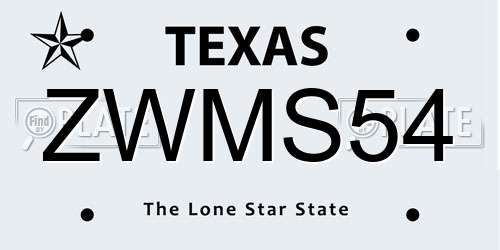 ZWMS54 Texas License Plate